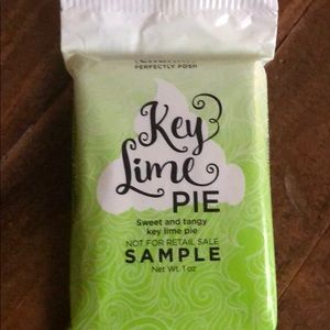 Perfectly Posh Makeup - Perfectly Posh Chunk Samples Perfectly Posh Makeup - Perfectly Posh Chunk Samples